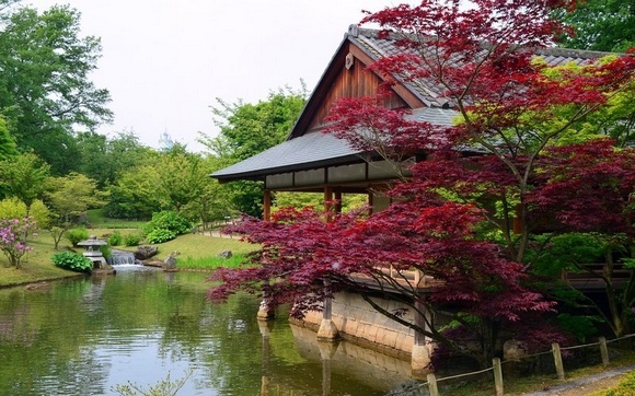 japanse-tuin-hasselt