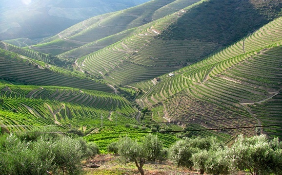 Douro Portugal