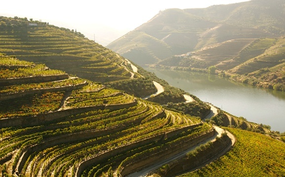Douro