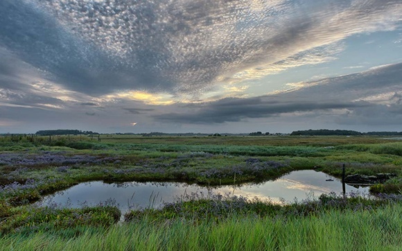 Franse Charente Maritime landschap 1