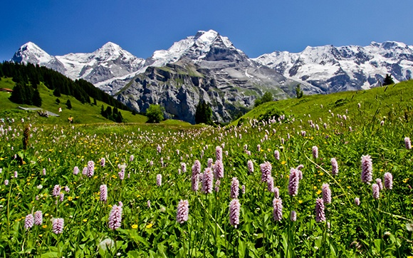 berner-oberland-switzerland-landscape-2