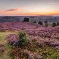 De Veluwe als vakantieoord is één en al veelzijdigheid!