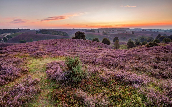 de-veluwe-als-vakantieoord