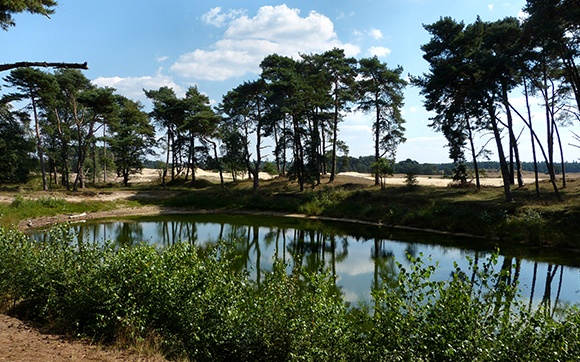 de-veluwe-is-een-en-al-veelzijdigheid