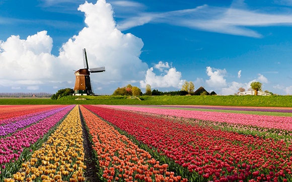landschap-nederland