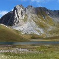 Geniet van een vakantie in de Zuidelijke Franse Alpen