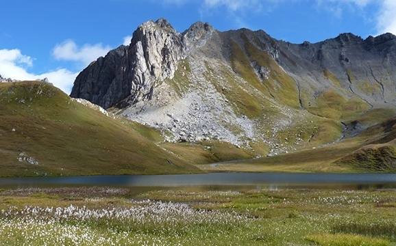Alpen zomer