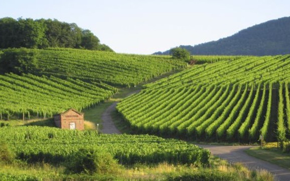 Elzas cultuur en landschap
