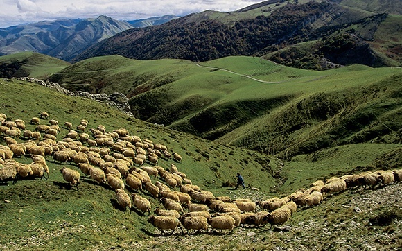 Frans Baskenland landschap