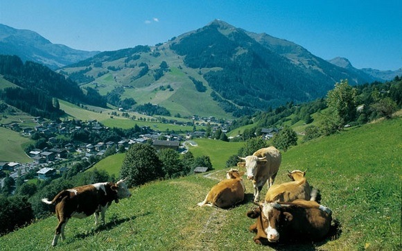 Saalbach Hinterglemm