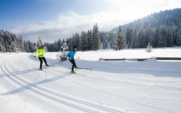 Seefeld Leutasch mountain