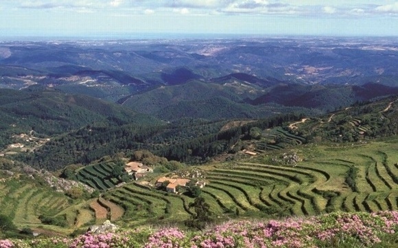 heuvels