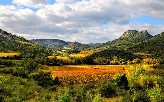 languedoc